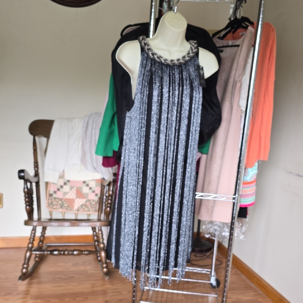 Black and Silver Fringe Dress